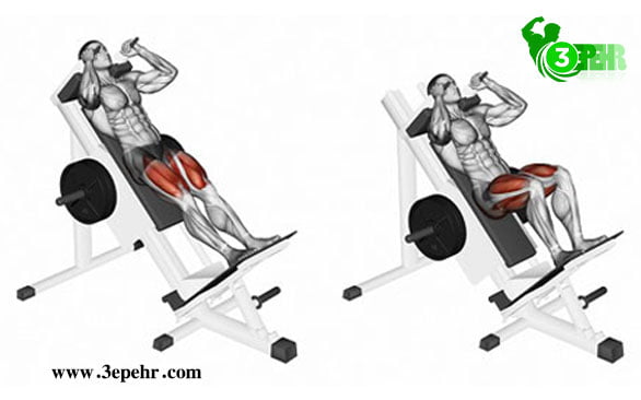 شناختن لوازم بدنسازی در باشگاه،دستگاه اسکوات هاک (Hack Squat Machine)